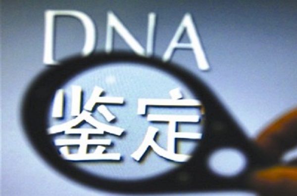 dna亲子鉴定